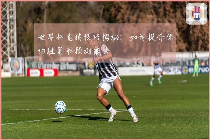 世界杯竞猜技巧揭秘：如何提升你的胜算和预测能力