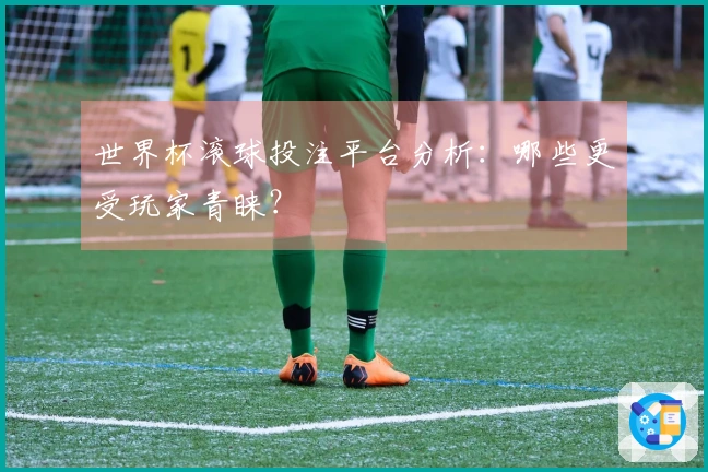 世界杯滚球投注平台分析：哪些更受玩家青睐？