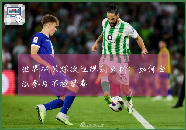 世界杯买球投注规则分析：如何合法参与不被禁赛