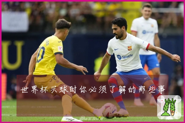 世界杯买球时你必须了解的那些事