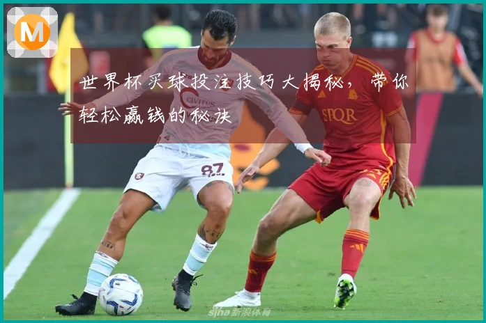 世界杯买球投注技巧大揭秘，带你轻松赢钱的秘诀