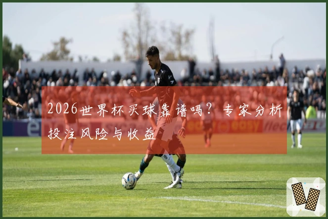 2026世界杯买球靠谱吗？专家分析投注风险与收益