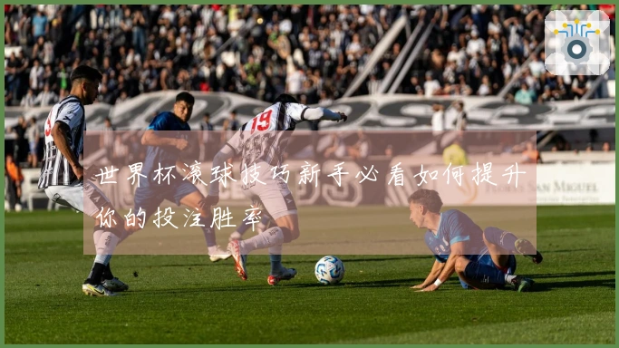 世界杯滚球技巧新手必看如何提升你的投注胜率