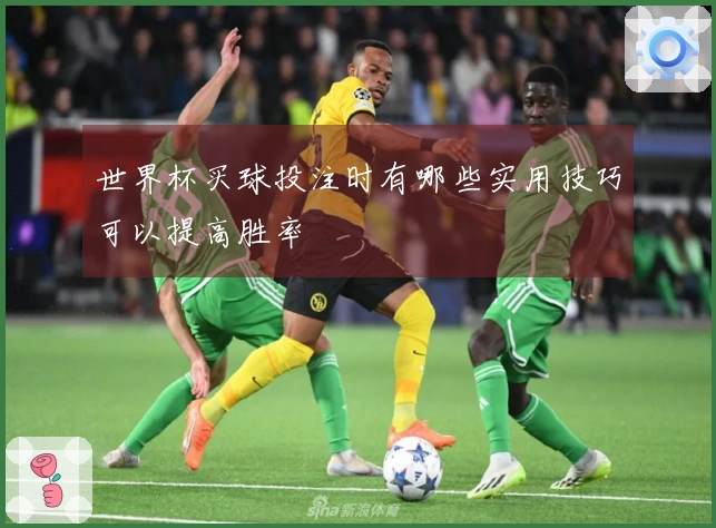 世界杯买球投注时有哪些实用技巧可以提高胜率