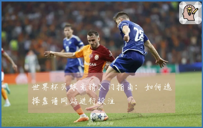 世界杯买球竞猜入门指南：如何选择靠谱网站进行投注