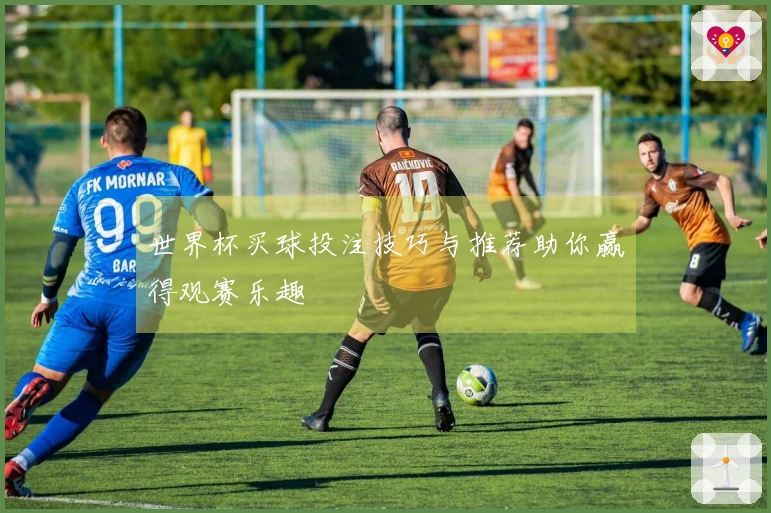 世界杯买球投注技巧与推荐助你赢得观赛乐趣