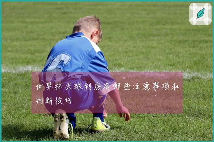 世界杯买球到底有哪些注意事项和判断技巧