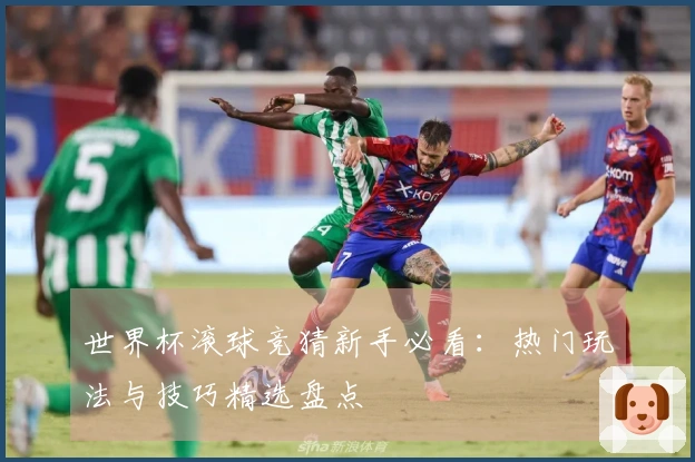 世界杯滚球竞猜新手必看：热门玩法与技巧精选盘点