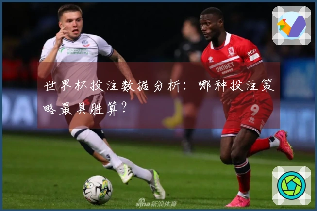 世界杯投注数据分析：哪种投注策略最具胜算？