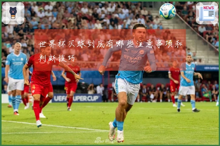 世界杯买球到底有哪些注意事项和判断技巧