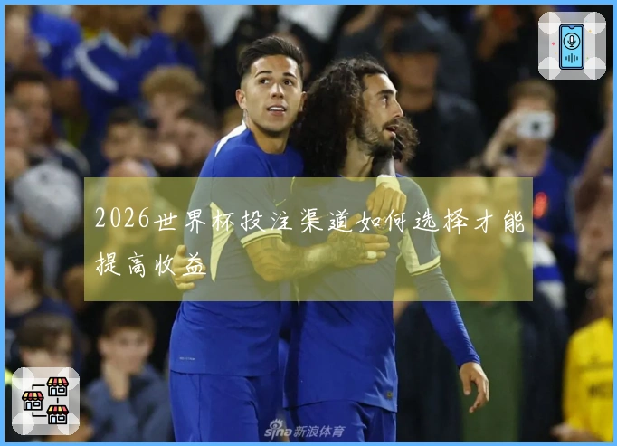 2026世界杯投注渠道如何选择才能提高收益