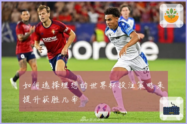 如何选择理想的世界杯投注策略来提升获胜几率